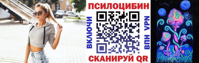 MEGA ТОР где продают Асино дарк нет Telegram Псилоцибиновые грибы Psilocybine cubensis