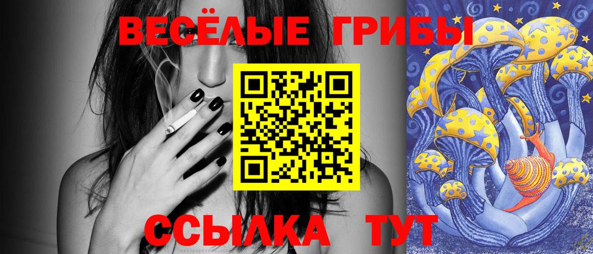 Галлюциногенные грибы MAGIC MUSHROOMS  купить закладку  Асино 