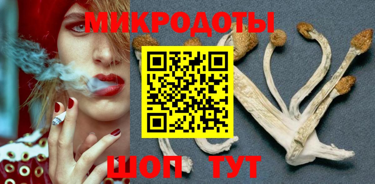 Псилоцибиновые грибы мицелий Асино