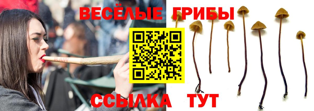 закладка  Галлюциногенные грибы Psilocybine cubensis  Вход с VPN  Асино  Псилоцибиновые грибы мухоморы 