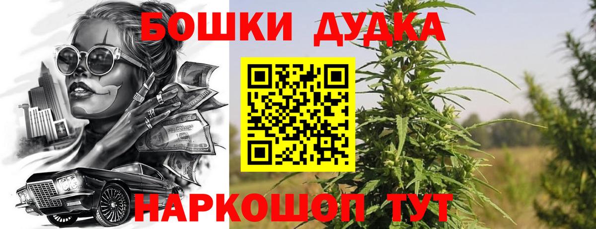 Каннабис ГИДРОПОН Асино